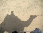 camel safari in jaisalmer india