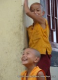 monks of sikkim