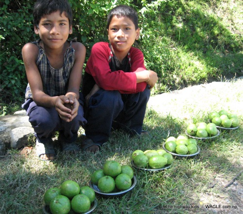 highway kids of nepal. selling guava