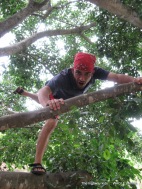 climbing a tree