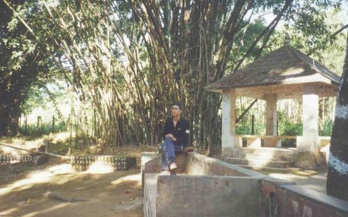 bamboos of budha subba temple 2001
