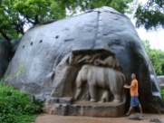 Elephant group at Mahabalipuram india stone carving monolith temples