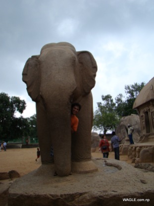 Elephant and Five Rathas. Mahabalipuram india stone carving monolith temples