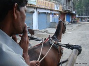 Horse Cart rider at Nepal India border