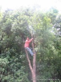 The Kafal tree of Shivapuri jungle: Kathmandu Kakani Jhor Hiking (53)