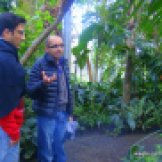 Bhaskar Adhikari who works at the Royal Botanical Gardens as a researcher gave me a near-detailed tour of the beautiful Gardens.